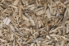 biomass boilers Rhydyfelin